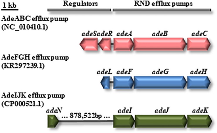 FIGURE 3