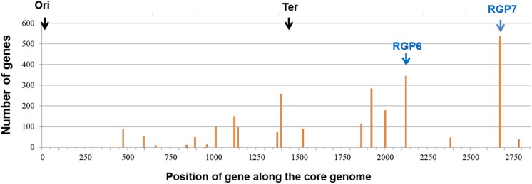 FIGURE 6