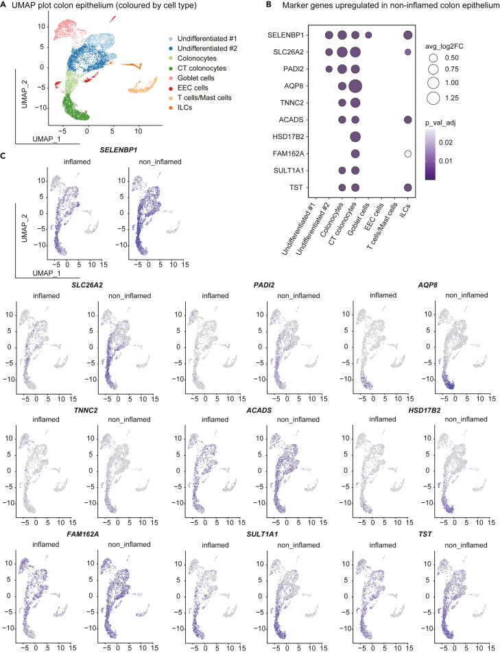 Figure 3