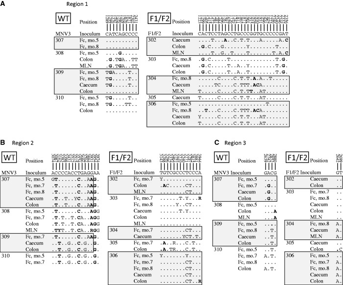 Figure 6.