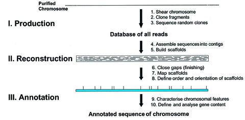 graphic file with name cdg214f2.jpg