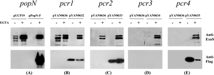 FIG. 5.