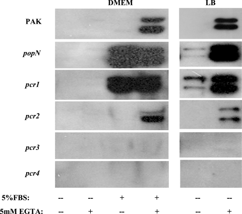 FIG. 8.