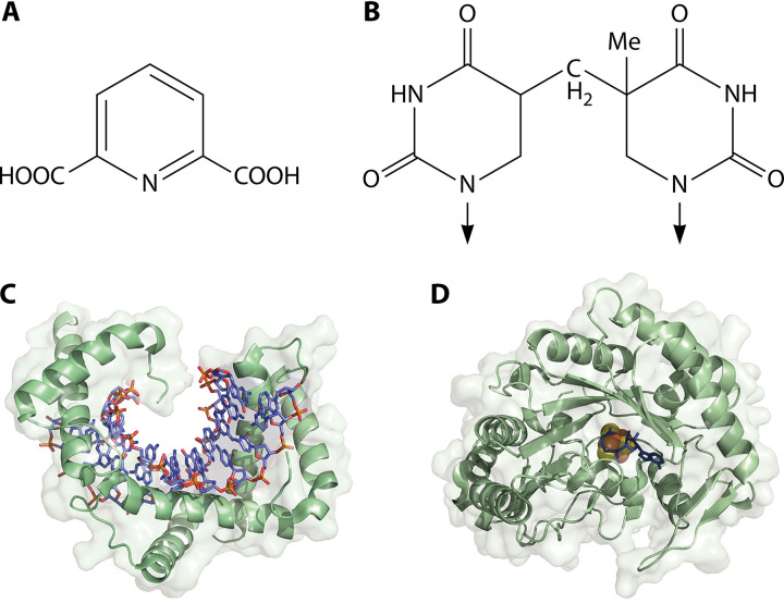 FIG 2