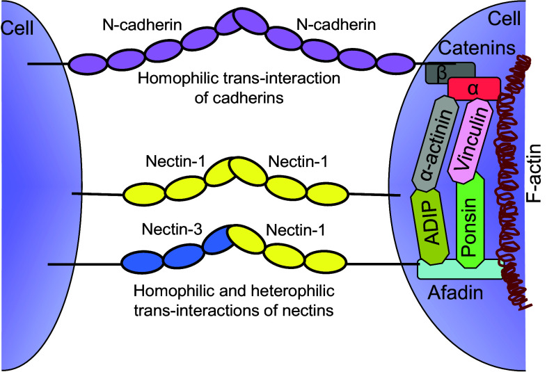 Fig. 3