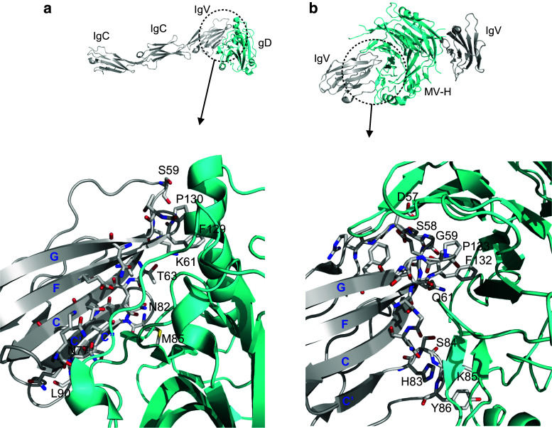 Fig. 8