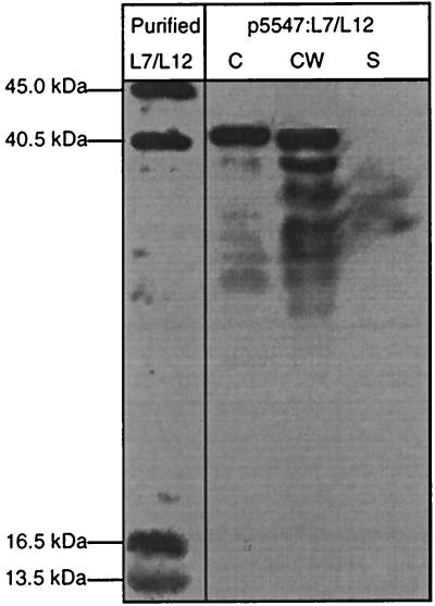 FIG. 5.