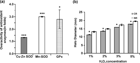 Fig. 4