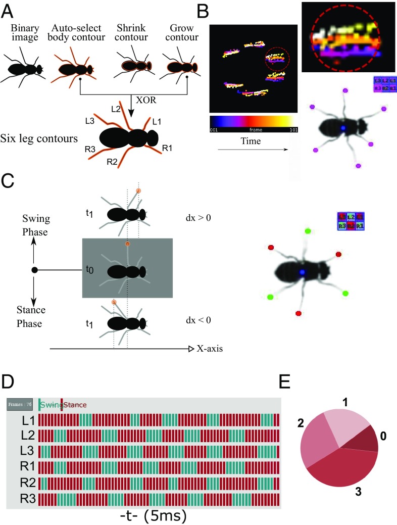 Fig. 2.