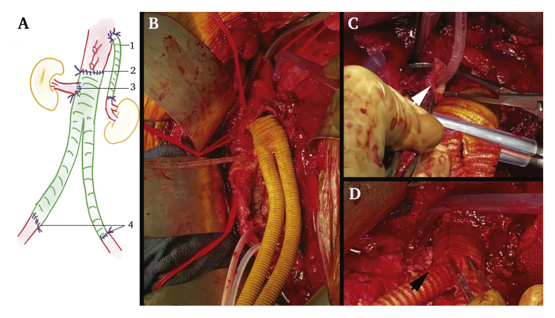 Figure 3