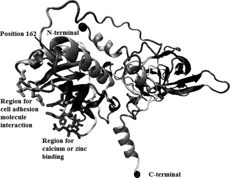 FIG. 2.