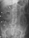 Fig 1.