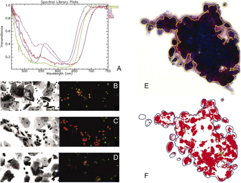 Fig. 8.