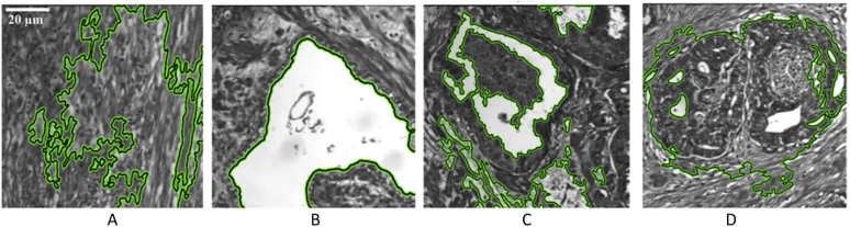 Fig. 7.