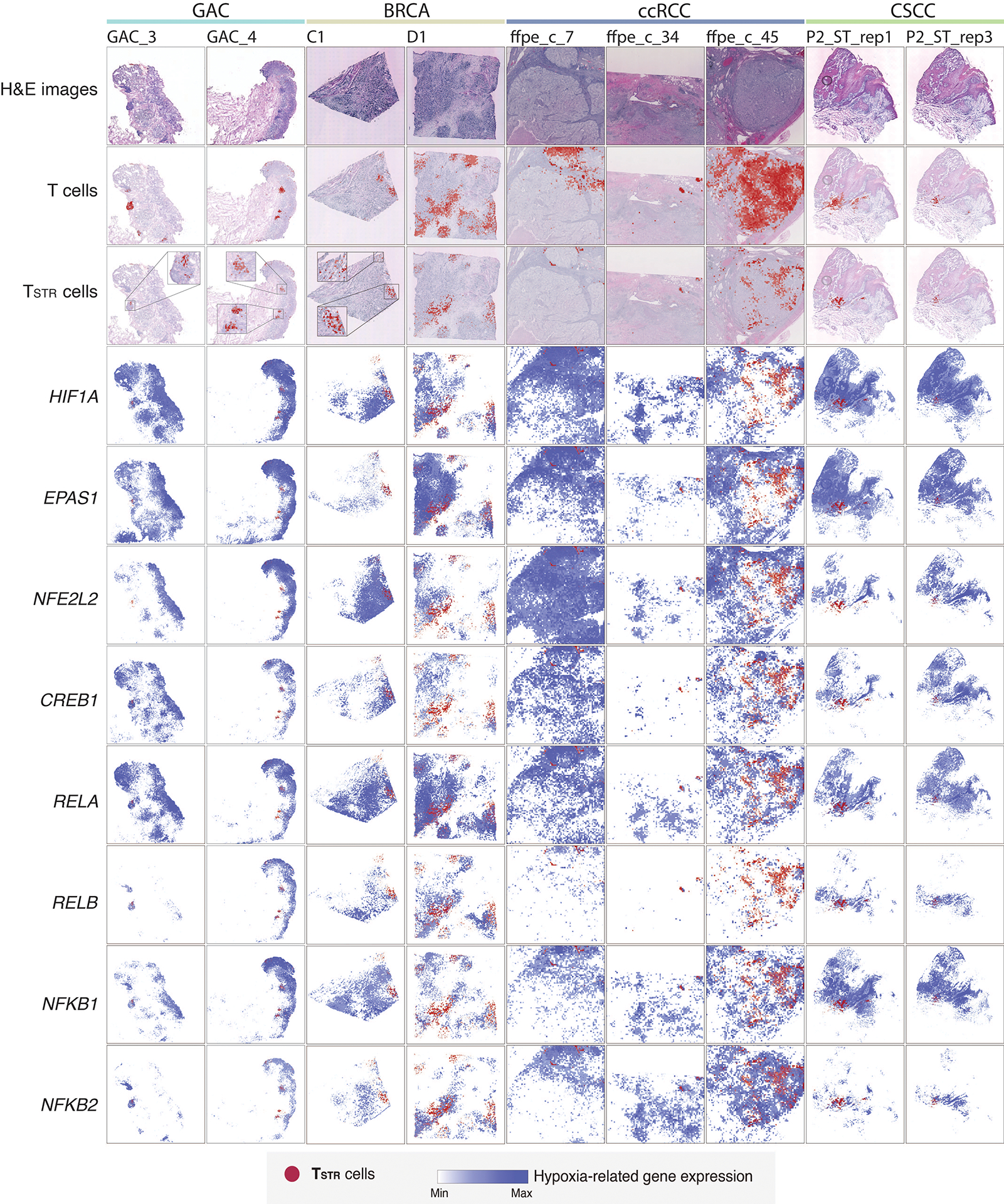 Extended Data Fig. 9