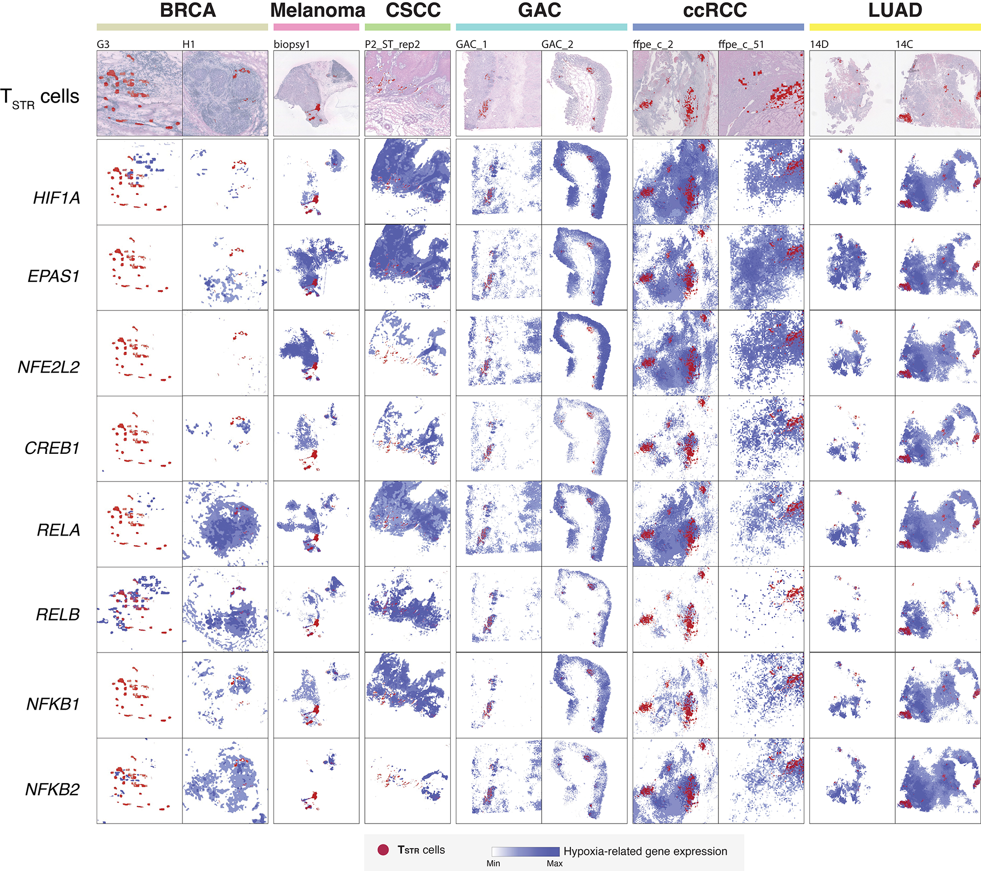 Extended Data Fig. 8