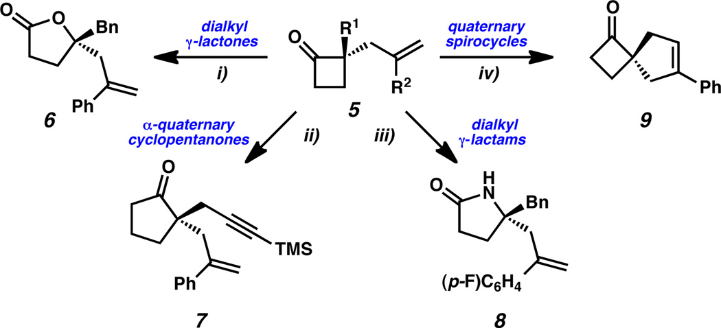 Scheme 2