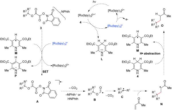 Scheme 5