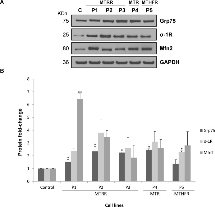 Fig 4