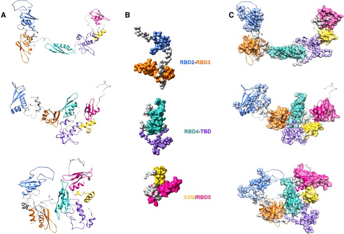 FIGURE 6.