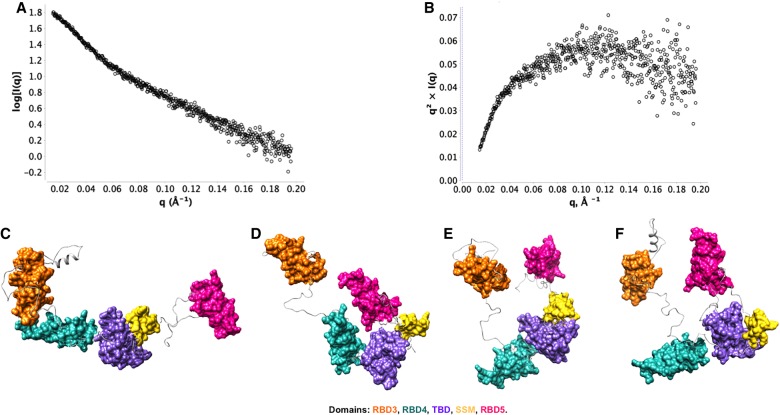 FIGURE 2.