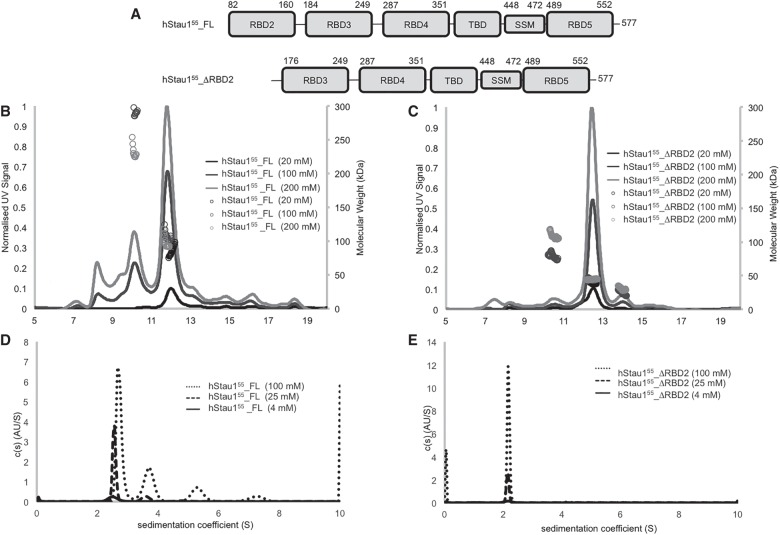 FIGURE 1.