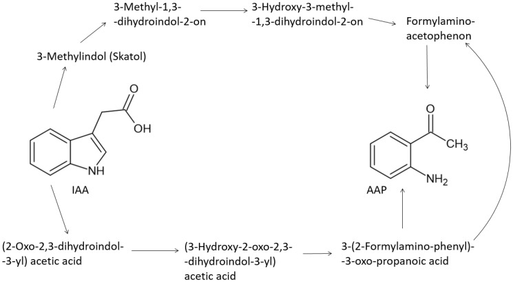 Figure 7