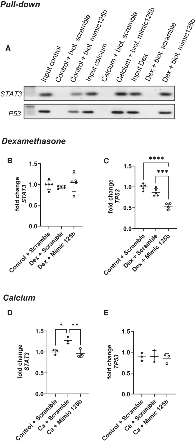 Figure 5