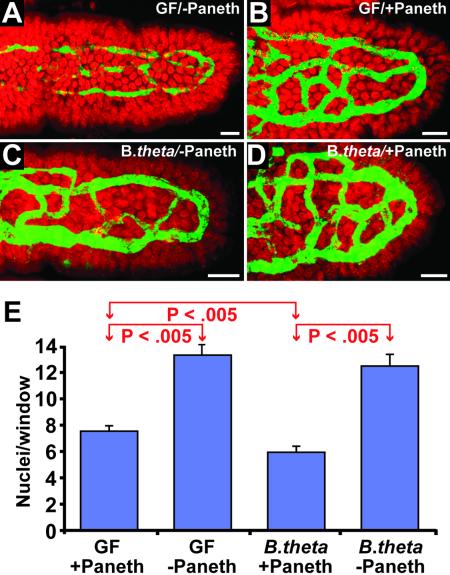 Fig 3.