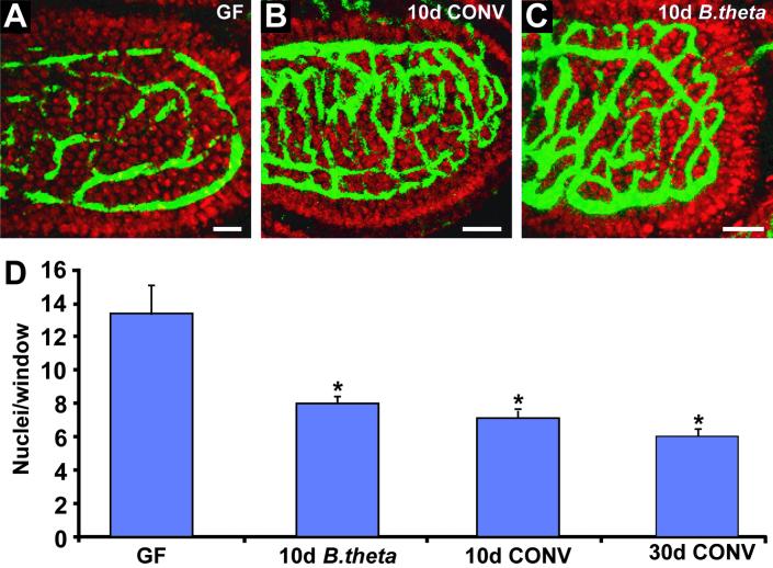 Fig 2.