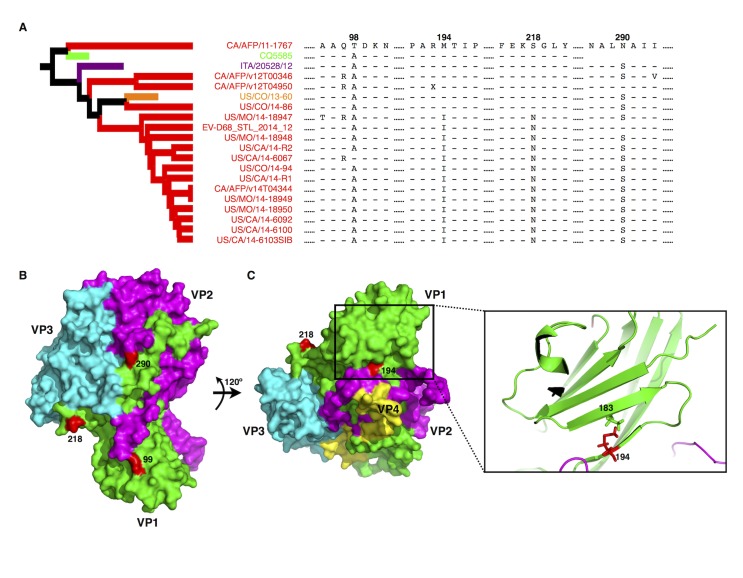 Fig 2