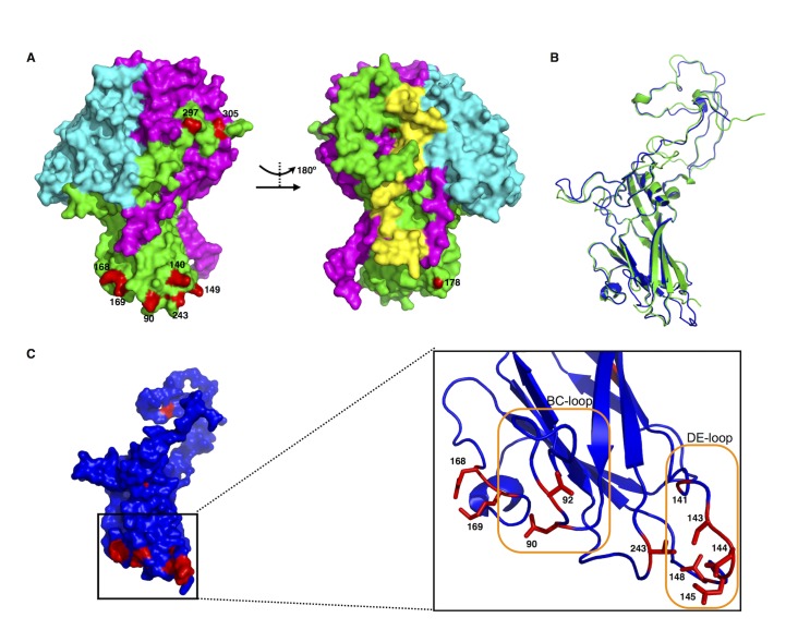 Fig 5