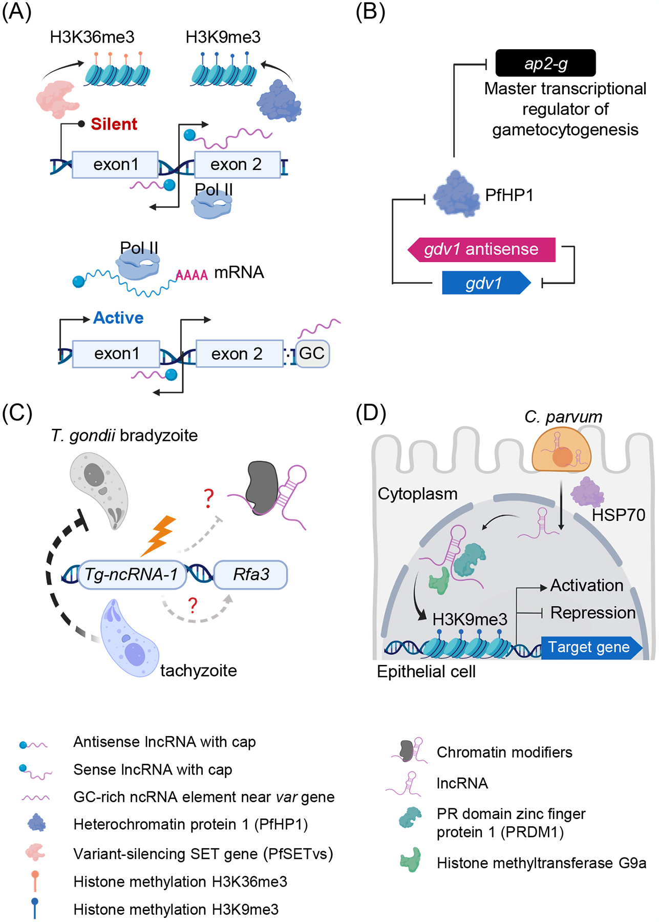 Figure 1.