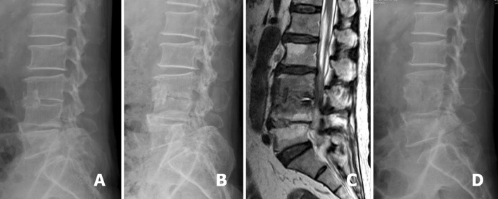 Fig. 3