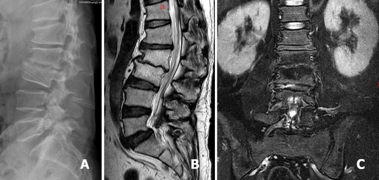 Fig. 2