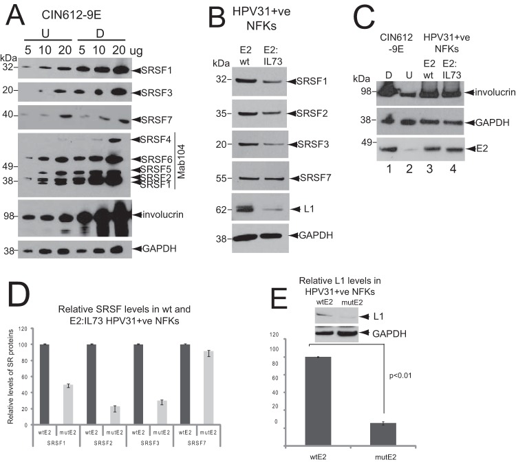 FIG 2