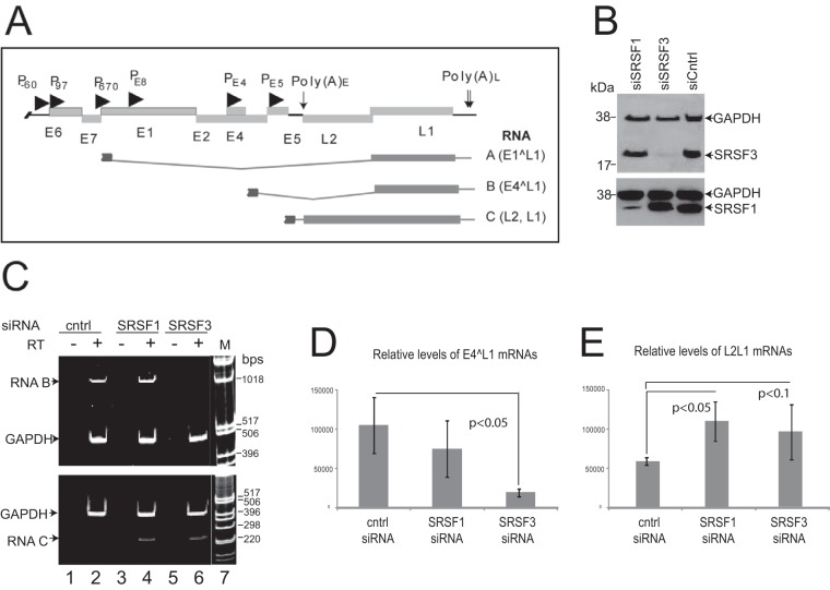 FIG 6