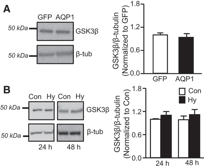 Fig. 9.