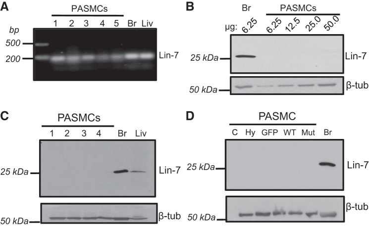 Fig. 8.