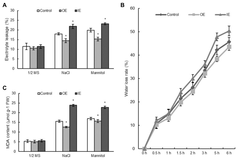 Figure 7