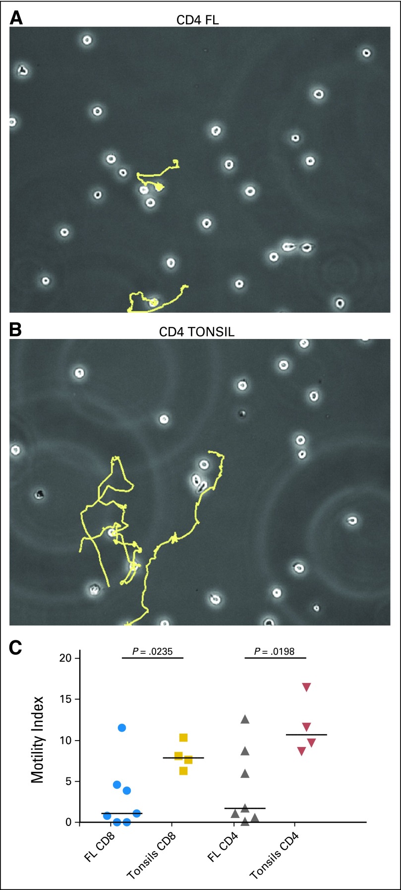 Fig 5.