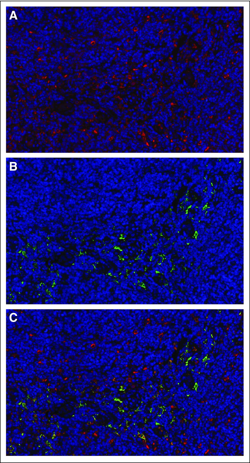 Fig 4.