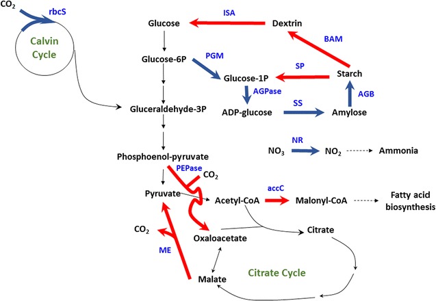 Fig. 11