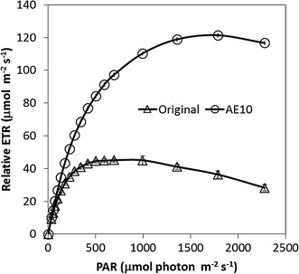 Fig. 4