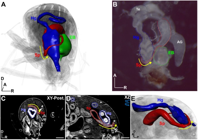 Fig. 6.