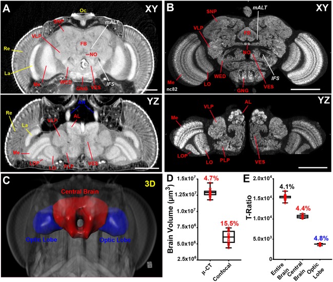 Fig. 7.