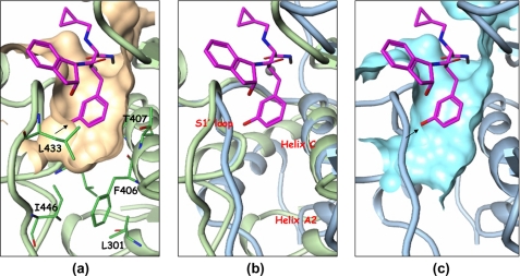 FIGURE 5.