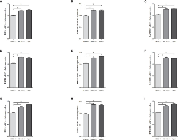 Figure 10