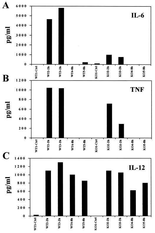 FIG. 5