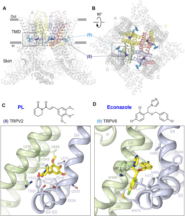 FIGURE 4